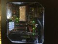ASUS Fractal GTX670 FTW Gaming Desktop Computer Custom Build